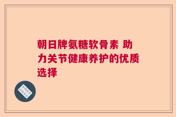 朝日牌氨糖软骨素 助力关节健康养护的优质选择
