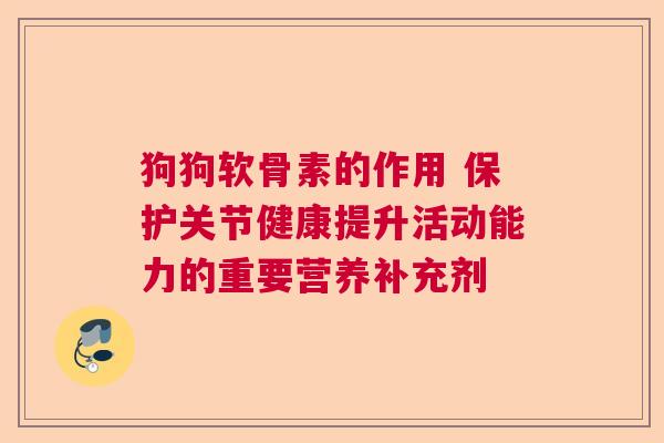 狗狗软骨素的作用 保护关节健康提升活动能力的重要营养补充剂
