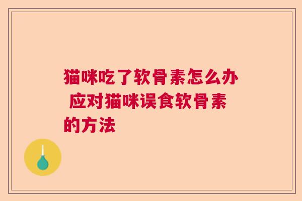 猫咪吃了软骨素怎么办 应对猫咪误食软骨素的方法