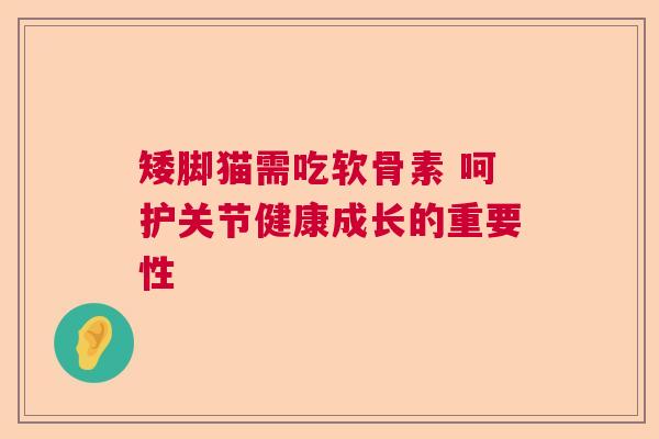 矮脚猫需吃软骨素 呵护关节健康成长的重要性