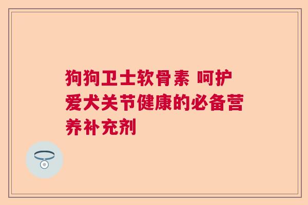 狗狗卫士软骨素 呵护爱犬关节健康的必备营养补充剂