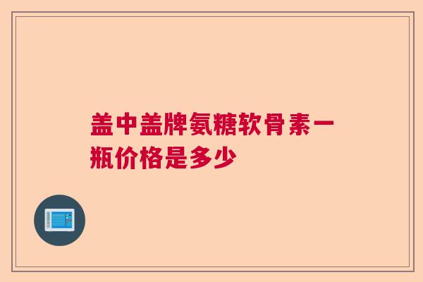 盖中盖牌氨糖软骨素一瓶价格是多少