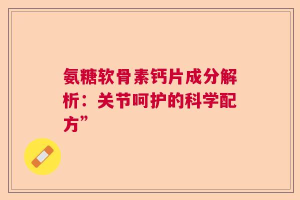 氨糖软骨素钙片成分解析：关节呵护的科学配方”