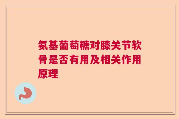 氨基葡萄糖对膝关节软骨是否有用及相关作用原理