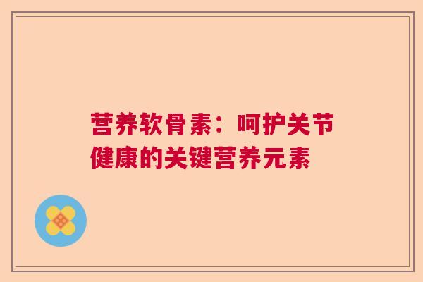 营养软骨素：呵护关节健康的关键营养元素