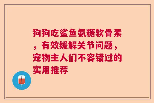 狗狗吃鲨鱼氨糖软骨素，有效缓解关节问题，宠物主人们不容错过的实用推荐