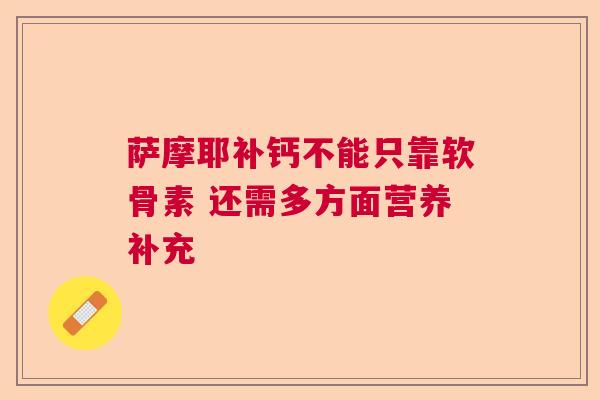萨摩耶补钙不能只靠软骨素 还需多方面营养补充