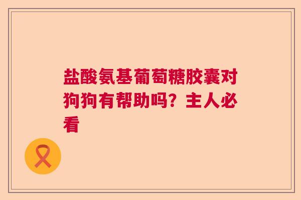 盐酸氨基葡萄糖胶囊对狗狗有帮助吗？主人必看