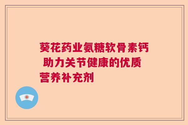 葵花药业氨糖软骨素钙 助力关节健康的优质营养补充剂