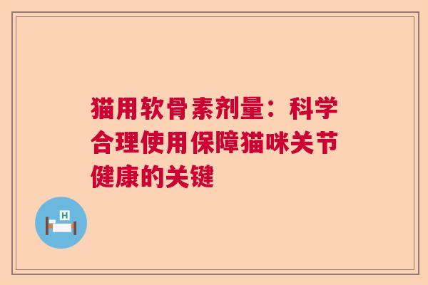 猫用软骨素剂量：科学合理使用保障猫咪关节健康的关键