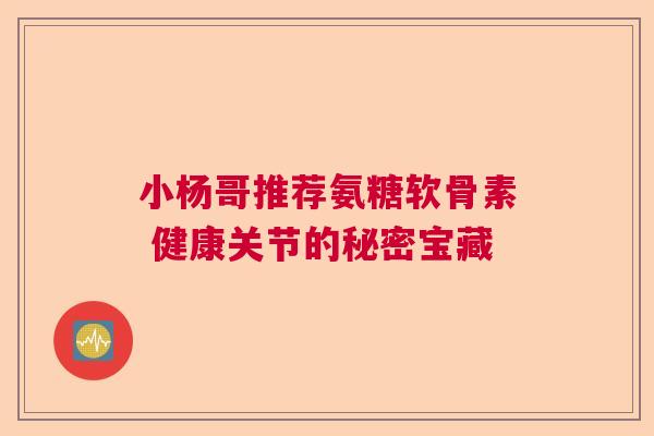 小杨哥推荐氨糖软骨素 健康关节的秘密宝藏