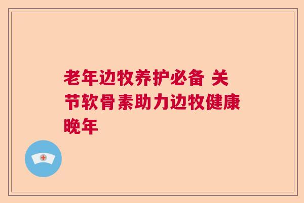 老年边牧养护必备 关节软骨素助力边牧健康晚年