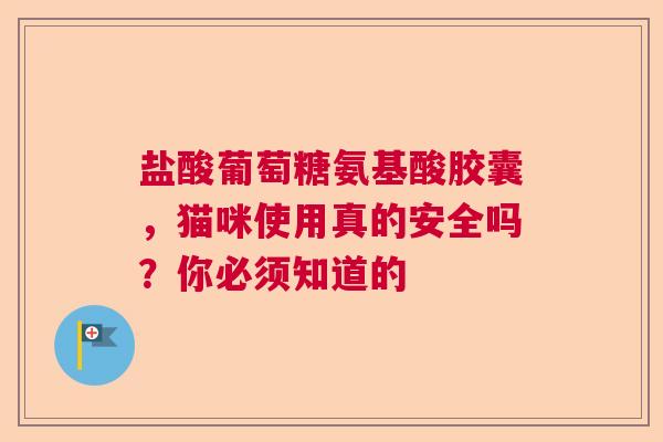 盐酸葡萄糖氨基酸胶囊，猫咪使用真的安全吗？你必须知道的