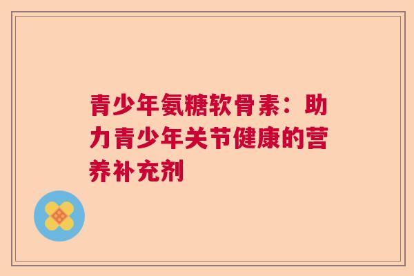 青少年氨糖软骨素：助力青少年关节健康的营养补充剂