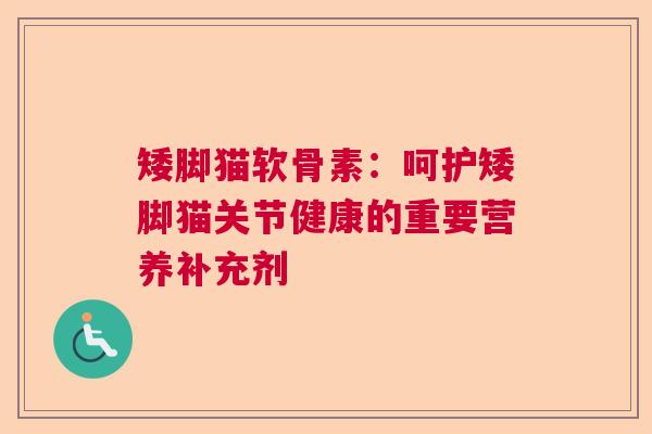 矮脚猫软骨素：呵护矮脚猫关节健康的重要营养补充剂