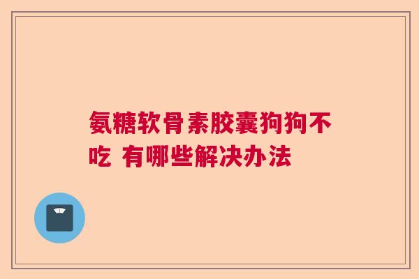 氨糖软骨素胶囊狗狗不吃 有哪些解决办法