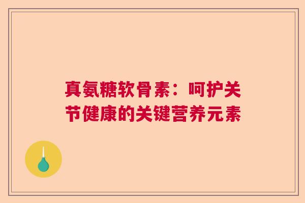 真氨糖软骨素：呵护关节健康的关键营养元素