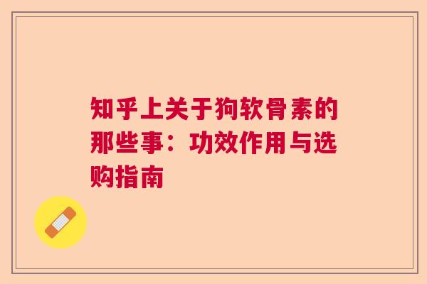知乎上关于狗软骨素的那些事：功效作用与选购指南