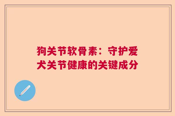 狗关节软骨素：守护爱犬关节健康的关键成分