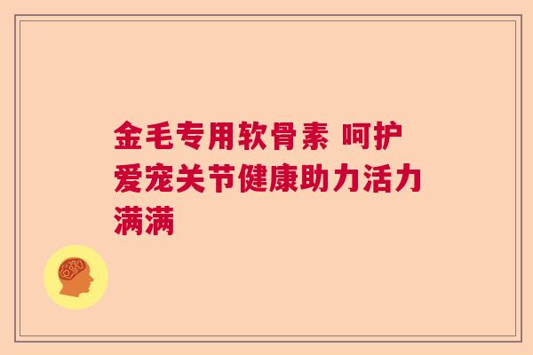 金毛专用软骨素 呵护爱宠关节健康助力活力满满