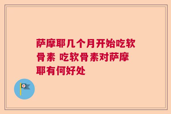 萨摩耶几个月开始吃软骨素 吃软骨素对萨摩耶有何好处
