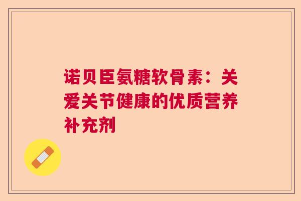 诺贝臣氨糖软骨素：关爱关节健康的优质营养补充剂