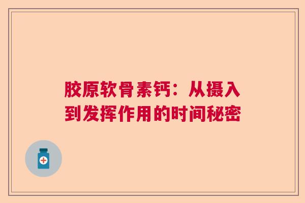 胶原软骨素钙：从摄入到发挥作用的时间秘密